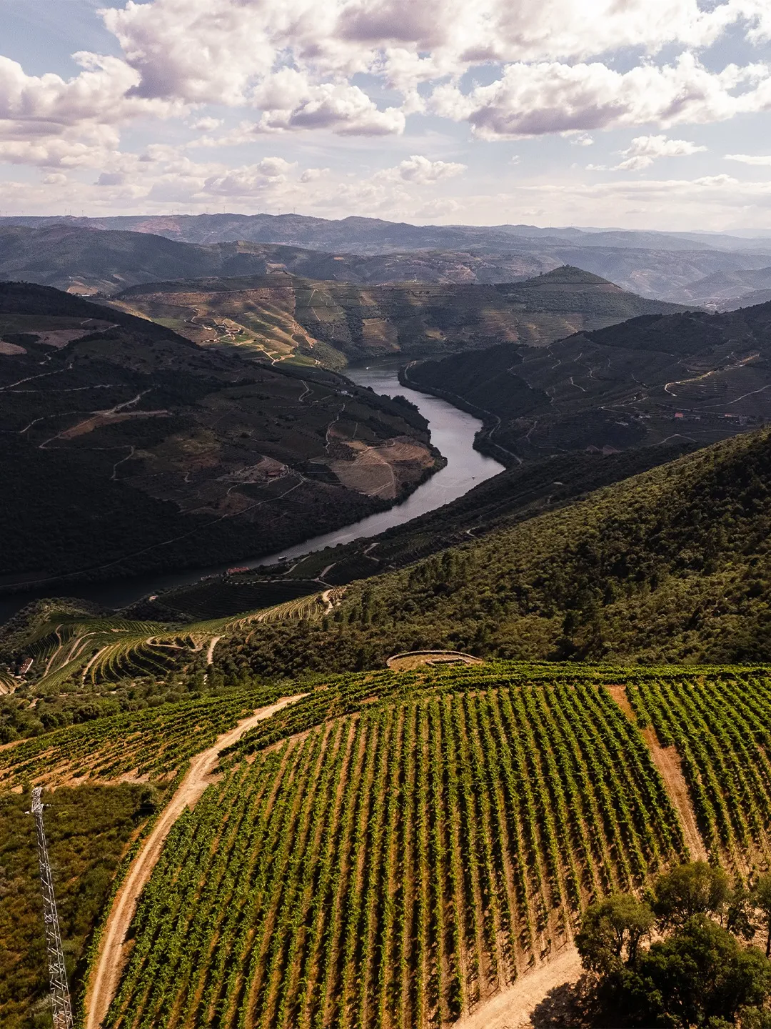 Vista da Quinta da Escravalheira sobre o vale do Douro