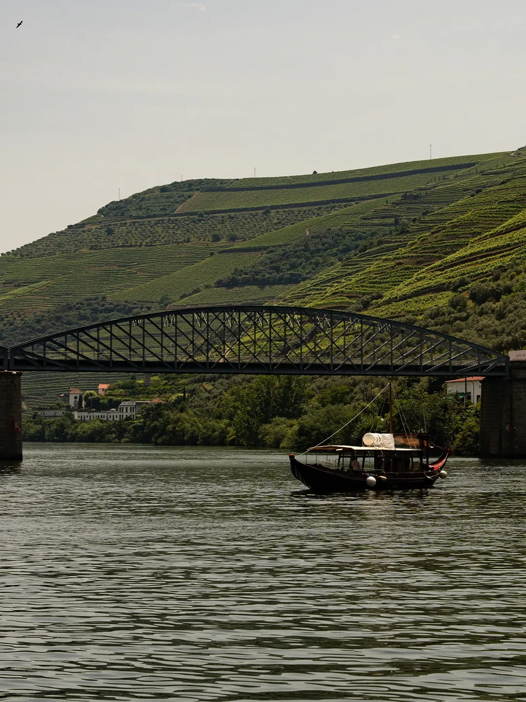 Um barco rabelo no Douro, junto a uma ponte de ferro