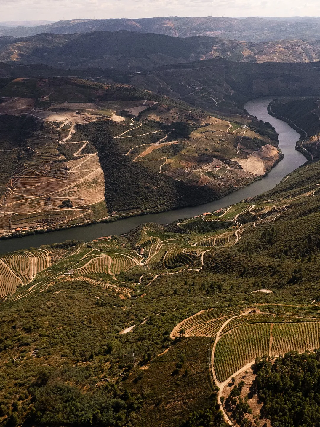 Vista aérea do Douro entre encostas de vinha