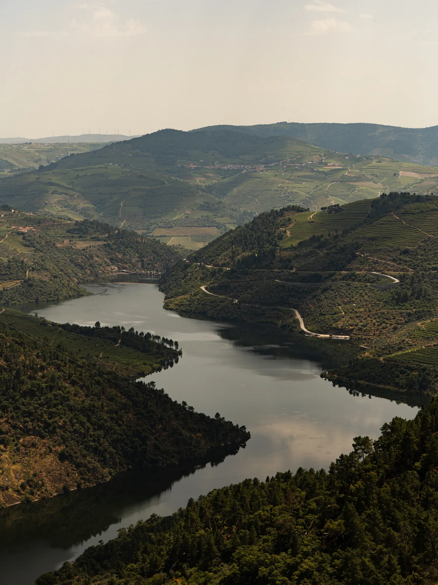 O rio Douro a serpentear entre encostas de vinha
